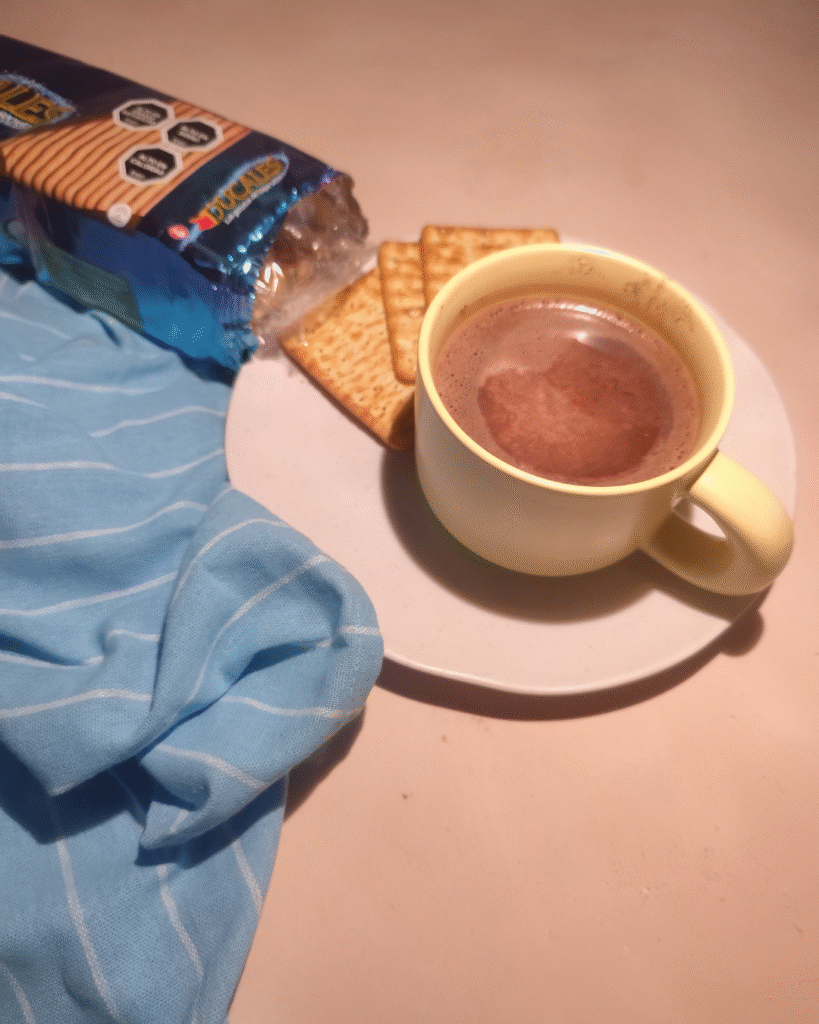 Galletas con chocolate